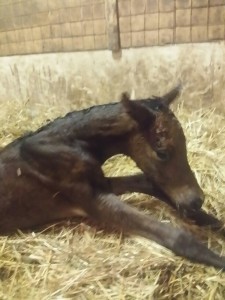 20150331_233548_resized